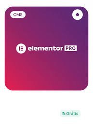 Elementor Pro
